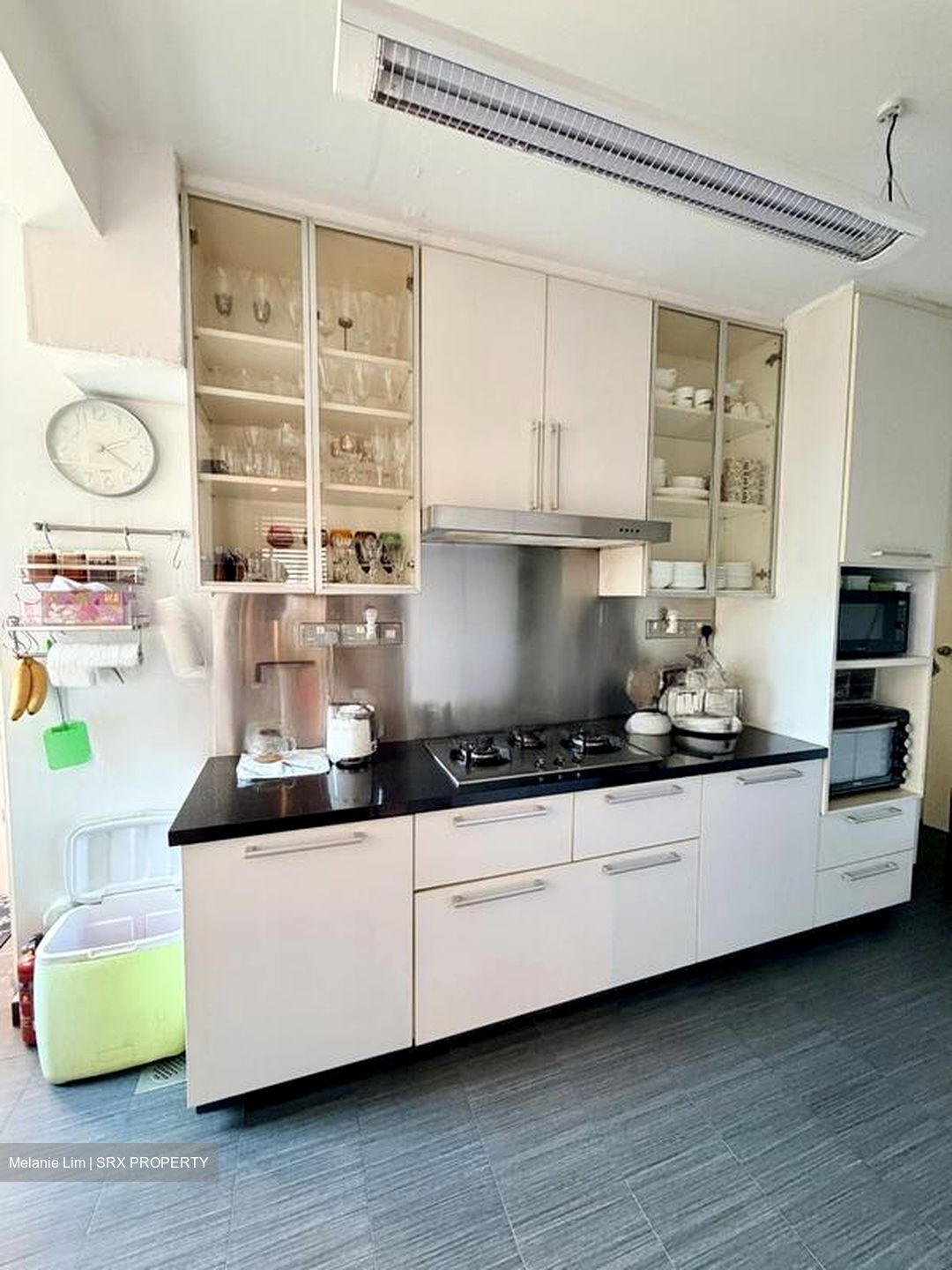 Botanic Gardens View (D10), Apartment #497947061